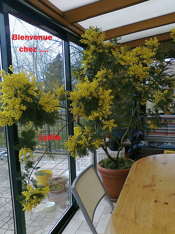 Bienvenue chez Lydie : Créations animées par mes soins