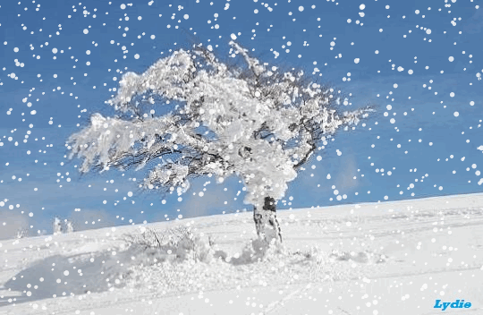 clipart gratuit neige qui tombe - photo #9