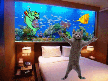 aquarium-chat-et-poissons-animes-petit.gif