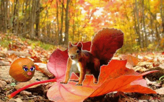 automne-ecureuil-noisette-petit.gif