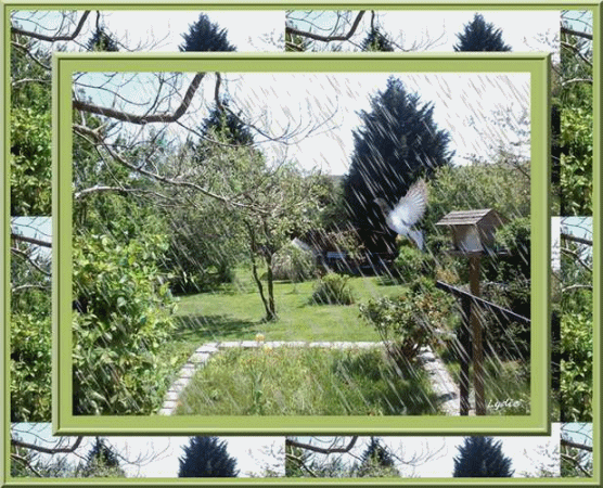 cadre-jardin-pluie.gif