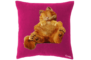 chat-coussin-petit.gif