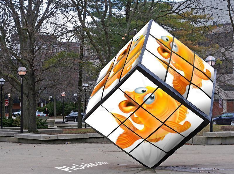 cube-poisson.jpg