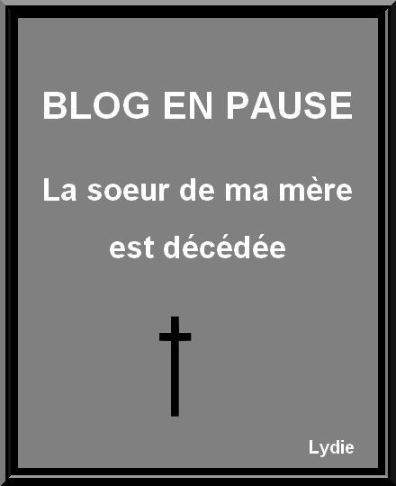 Blog en pause