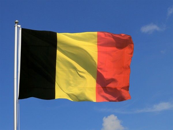 drapeau-belgique-petit.jpg