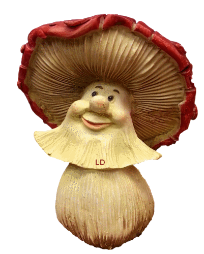 Résultat de recherche d'images pour "image animée champignons"