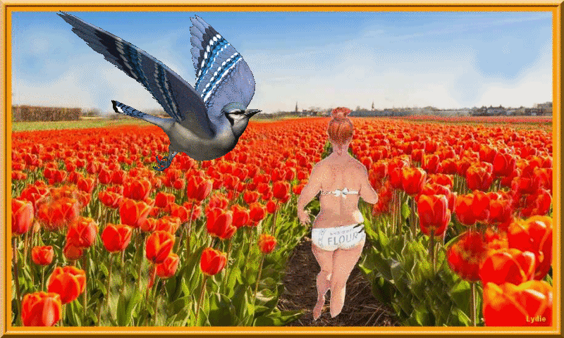 hilda-tulipes-oiseau.gif