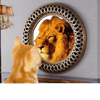 miroir-chat-lion-petit.gif