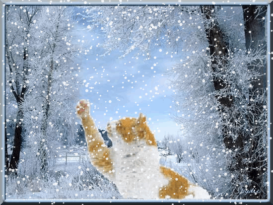 neige-chat.gif