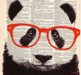 panda-yeux-rouges-et-lunettes-petit.gif