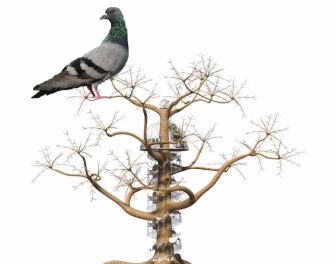pigeon-arbre-petit.gif