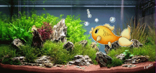 poisson-aquarium-petit.gif
